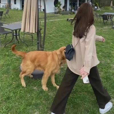 美味秘方