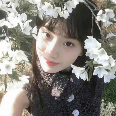 仙王的日常生活第三季